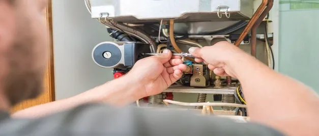 Aydın Petek Temizliği